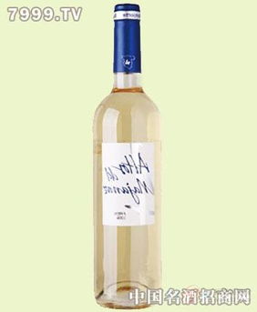 Alto del Mar 西班牙海滨度假区的房地产代理新星